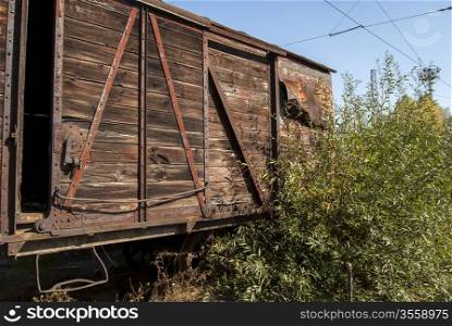 Old freight abandoned wooden railway wagon and bush