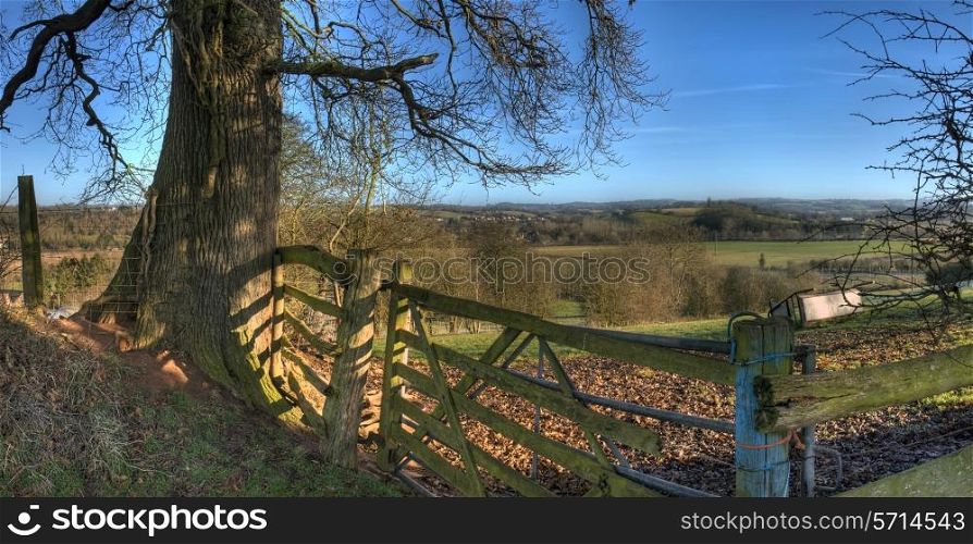 Old gate an oak tree overlooking Worcestershire, England.