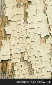 old, gray plank with chipped color remains. old plank with chipped color remains