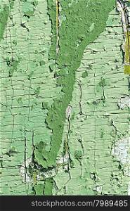 old green colored wooden plank surface