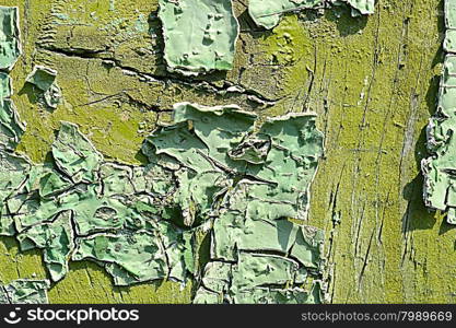 old green colored wooden plank surface