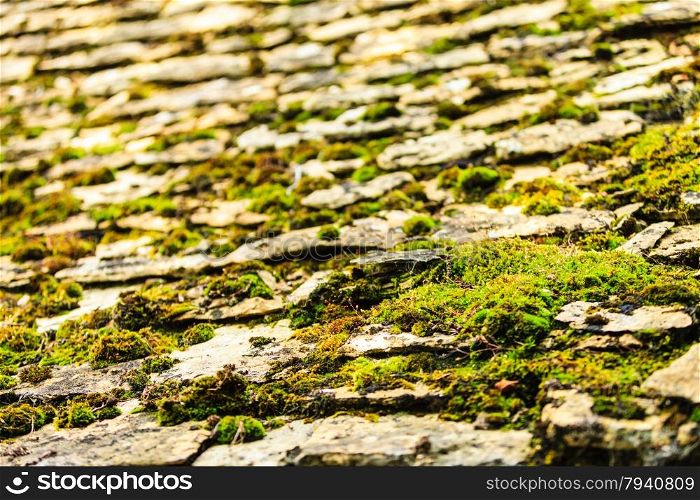 Old grunge concrete stone floor with moss pattern background, outdoor