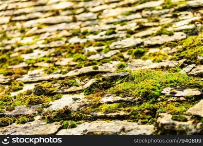 Old grunge concrete stone floor with moss pattern background, outdoor