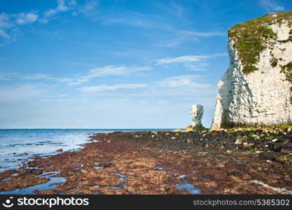 Old Harry Rocks on Jurassic Coast in Dorest England, UNESCO World Heritage location looking up from low tide base of cliffs