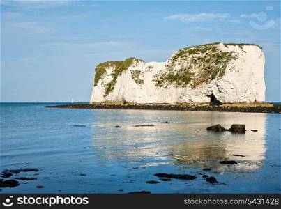 Old Harry Rocks on Jurassic Coast in Dorest England, UNESCO World Heritage location looking up from low tide base of cliffs