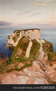 Old Harry Rocks on Jurassic Coast in Dorest England, UNESCO World Heritage location at sunset