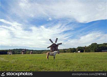Old historical obsolete windmills and grazed horses on field
