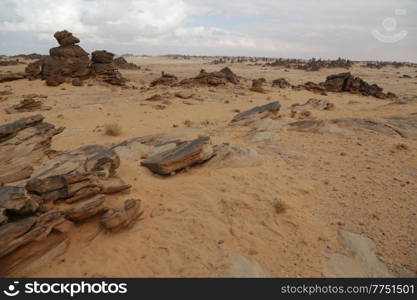 old history in the antique kingdom of saudi arabia