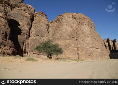 old history in the antique kingdom of saudi arabia