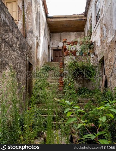 Old home in the town of Viseu in Portugal with overgrown garden and yard. Overgrown garden and yard with steps to front door in Viseu Portugal