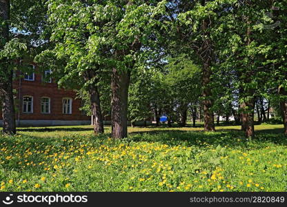 old house amongst tree in park