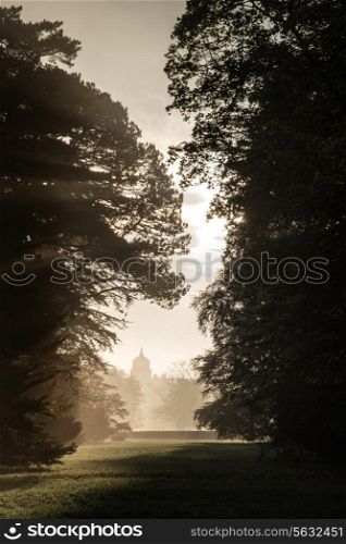 Old house viewed through misty sunlight in forest landscape