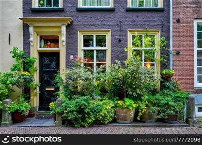 Old house with door and windows with lush plants in front. Delft, Netherlands. Old house with lush plants in front. Delft, Netherlands