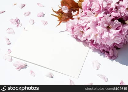 Old ink pen and ink bottle on white background. Vintage calligraphy pen and bottle of ink. Cherry blossom twig with black ink and sheet of paper. Mockup