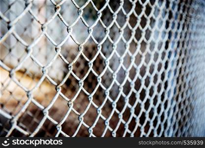 Old iron mesh in animal farm with texture background.