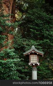 Old Japanese lamp decoration of Meiji Jingu Shrine under big tree in shrine forest park near Yoyogi park. Tokyo.