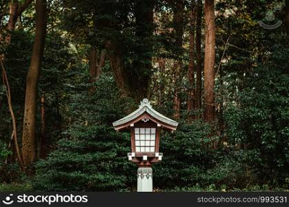 Old Japanese lamp decoration of Meiji Jingu Shrine under big tree in shrine forest park near Yoyogi park. Tokyo.