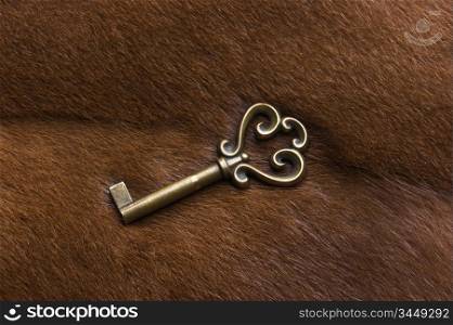old key on the background of fur