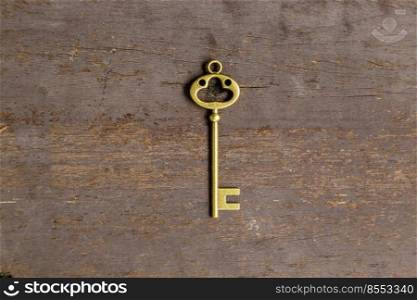 old key on wood background with space