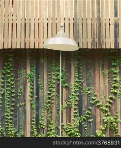 Old lamp hanging outdoor with wooden wall and ivy plant