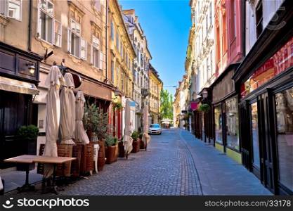 Old Ljubljana cobbled street view, capital of Slovenia