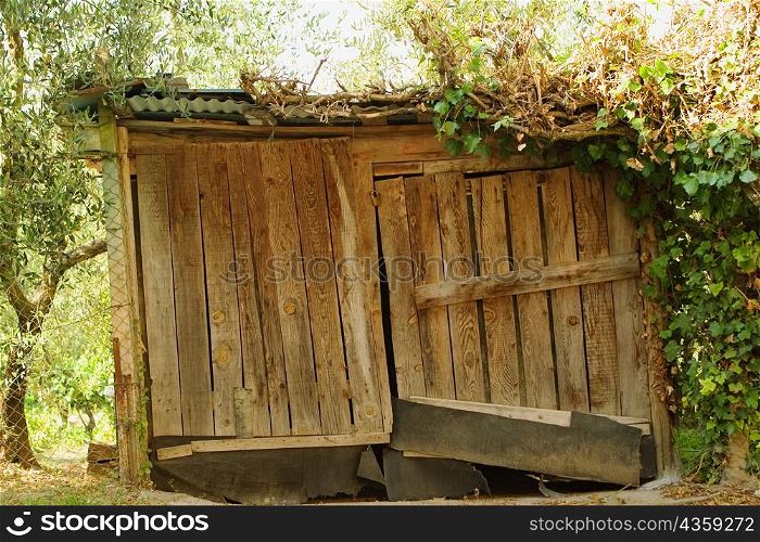 Old log cabin, San Gimignano, Siena Province, Tuscany, Italy