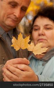 Old man and old woman hold two maple leaves on their hands together