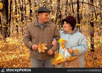 Old man and old woman walk in autumnal forest with basket of maple leaves