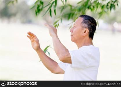 Old man practicing thai chi. Old man practicing thai chi in the park in the summertime