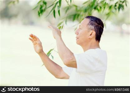 Old man practicing thai chi. Old man practicing thai chi in the park in the summertime