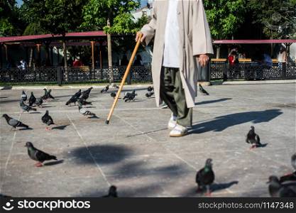 Old man with a stick walks near the flocks of pigeons on stone ground