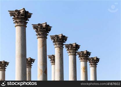 Old marble columns from Capitol building in National Arboretum in Washington DC