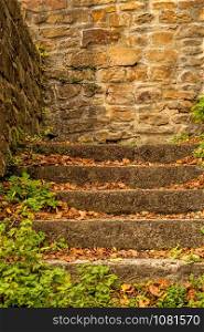 old, medieval stairs with green and fallen leaves