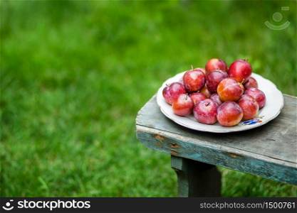Old metal plate with plums over dark board. Top view. Fruits background with space for text. Agriculture, Gardening, Harvest Concept.. red plums on the table