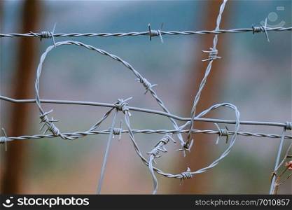 old metallic barbed wire fence in the nature