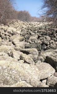 Old moraine rocks with moss in winter sunny day landscape