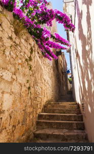 Old narrow yellow stones street in small ancient city in Croatia. Beautiful flovers of bougainvillaea falling down on walls at narrow old street with stone steps. Old narrow street in small city in Croatia