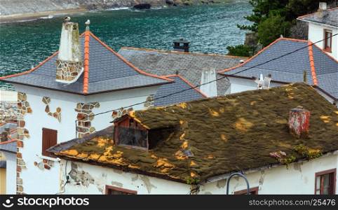 Old obsolete house roof with moss and flowers in Luarca town, Asturias, Spain.