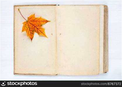 Old open book and autumn maple leaf
