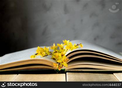 Old opened book on a wooden table. Branches of yellow leaves on the book. Concept background.. Old opened book on a wooden table. Branches of yellow leaves on the book.