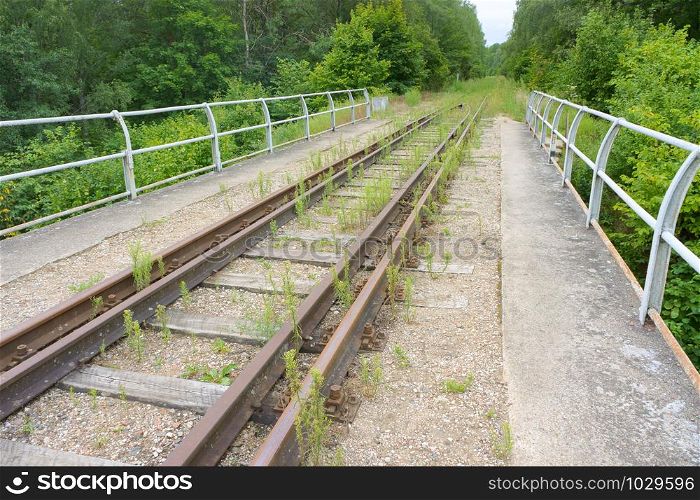 old overgrown railway tracks, abandoned railway. abandoned railway, old overgrown railway tracks