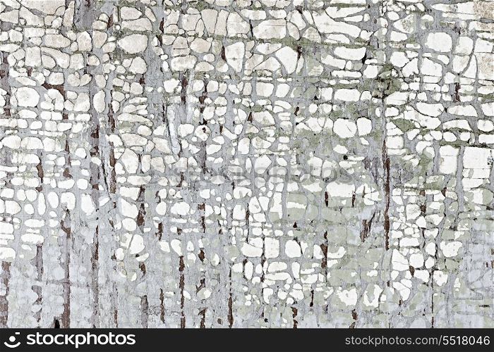 Old painted wood background. Old weathered chipped painted wood as grunge background