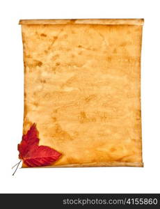 Old paper with autumn leaves on white background isolated