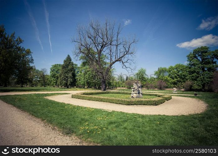 Old park at sunny day