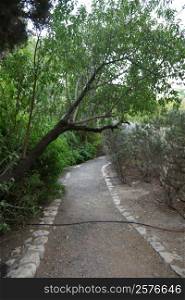 Old park in nothern Israel town of pioneers