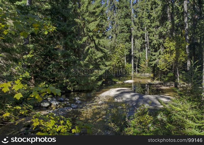 Old park Tsarska or Royal Bistritsa with terraced river and differently trees in the venerable autumnal forest near by resort Borovets, Rila mountain, Bulgaria