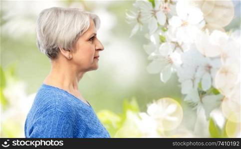 old people concept - portrait of senior woman in blue sweater over natural spring cherry blossoms background. portrait of senior woman in blue sweater over grey