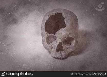 Old photo Side view of human skull. single skull . Human skull on a white background.