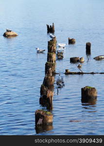 old pile on the lake