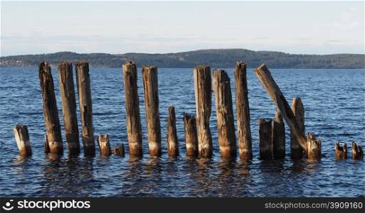 old piles in the lake